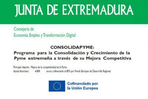 Programa para la Consolidacion y Crecimiento de la Pyme extremeña a traves de su Mejora Competitiva