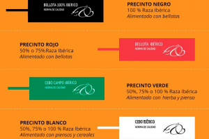 LOS COLORES DEL IBÉRICO